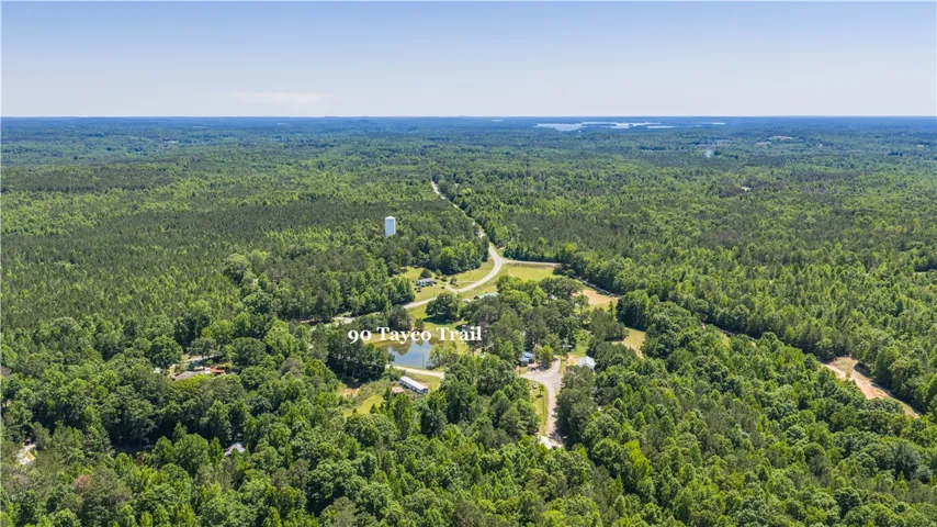 Vast, verdant forest surrounds a serene pond and tranquil rural dwelling.
