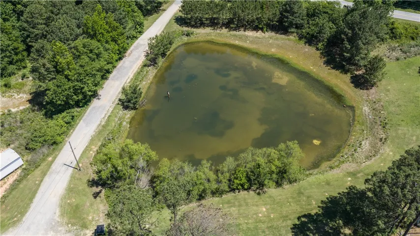 An aerial perspective reveals a serene pond with surrounding greenery and a connecting road.