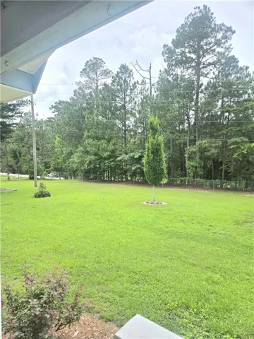 A spacious, well-maintained lawn bordered by a mature tree line.