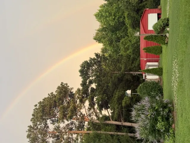 A vibrant rainbow arcs over a lush green landscape with a charming red outbuilding.