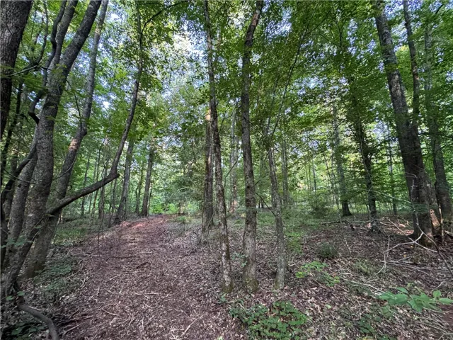 00 Tallapoosa Road, Camp Hill, Alabama 36850