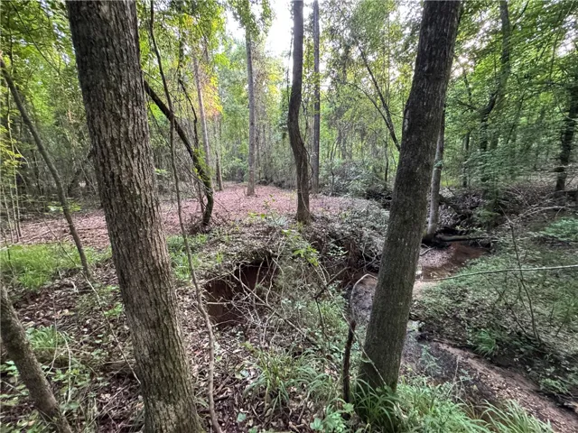 00 Tallapoosa Road, Camp Hill, Alabama 36850