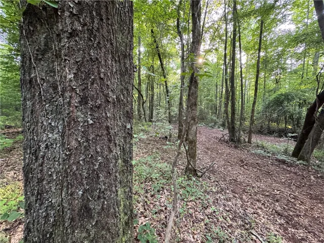 00 Tallapoosa Road, Camp Hill, Alabama 36850