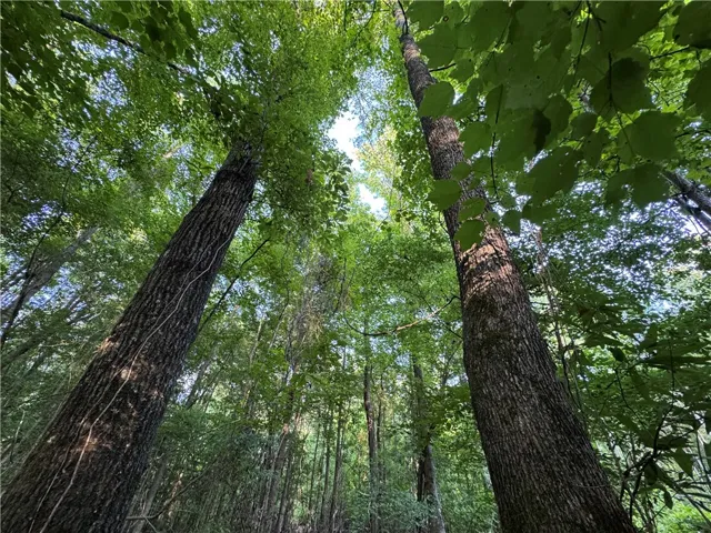 00 Tallapoosa Road, Camp Hill, Alabama 36850