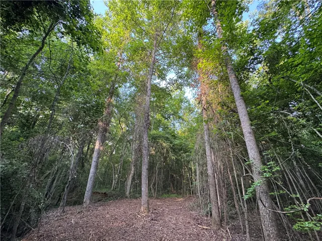00 Tallapoosa Road, Camp Hill, Alabama 36850