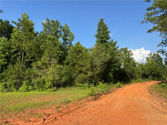 00 Tallapoosa Road, Camp Hill, Alabama 36850