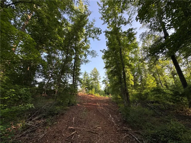 00 Tallapoosa Road, Camp Hill, Alabama 36850