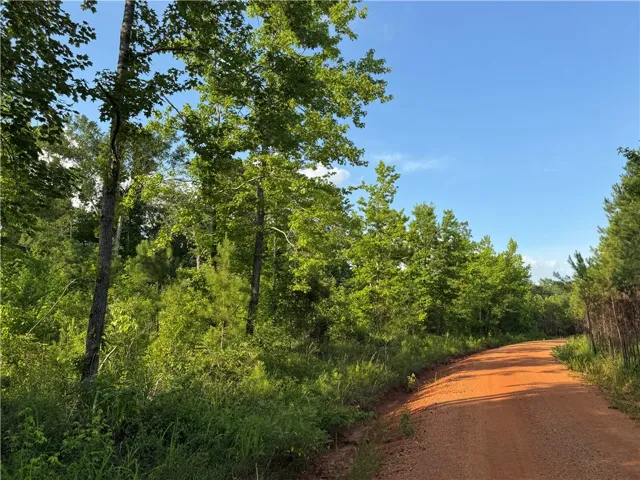 00 Tallapoosa Road, Camp Hill, Alabama 36850