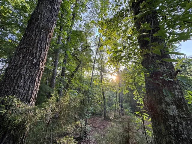 00 Tallapoosa Road, Camp Hill, Alabama 36850