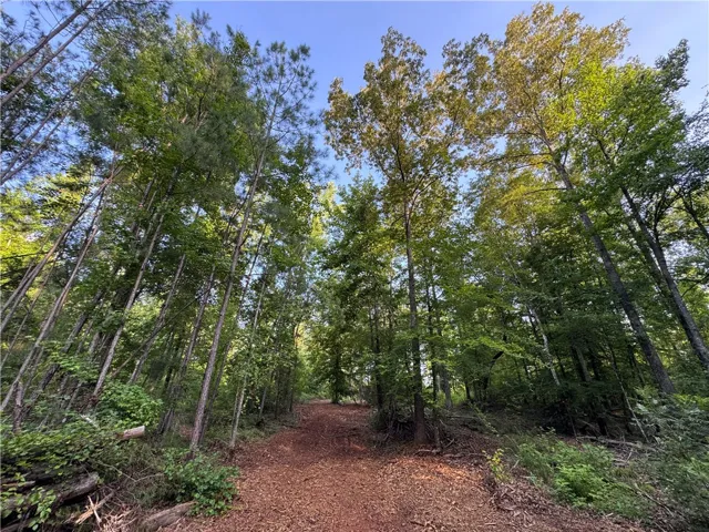 00 Tallapoosa Road, Camp Hill, Alabama 36850