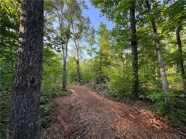 00 Tallapoosa Road, Camp Hill, Alabama 36850