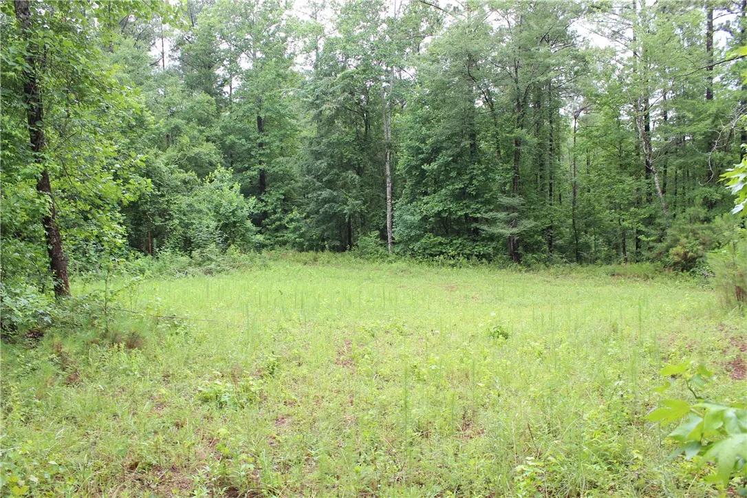 A tranquil, undeveloped meadow bordered by verdant woodlands, ready for your vision.