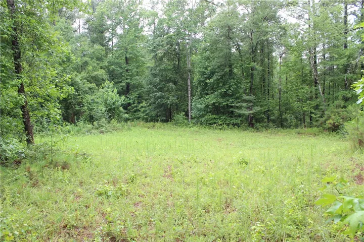 A tranquil, undeveloped meadow bordered by verdant woodlands, ready for your vision.