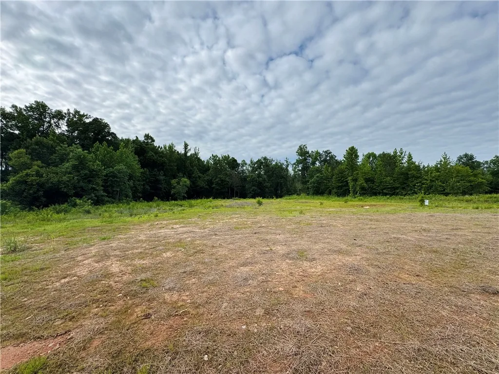 A spacious, cleared lot bordered by dense, mature trees offers an idyllic setting for building.