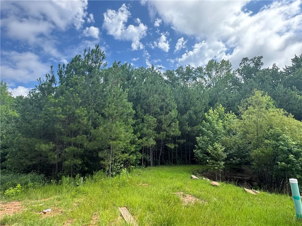 Mature trees frame a verdant lot, presenting a natural and private setting.