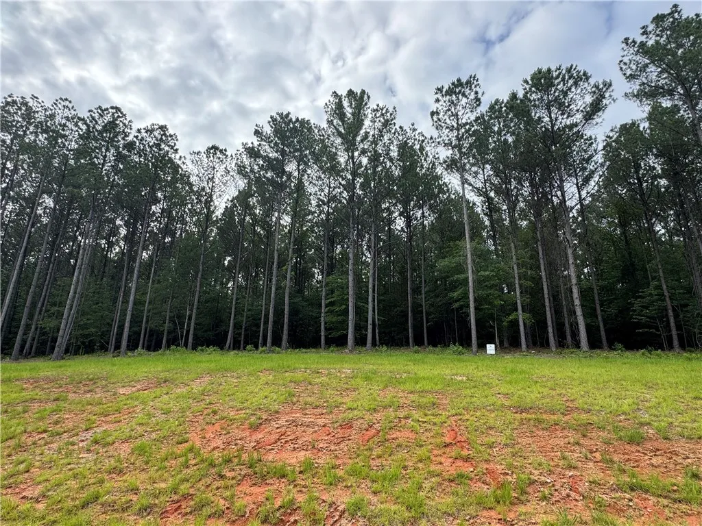 A verdant parcel with a dense tree line, offering privacy and natural beauty.
