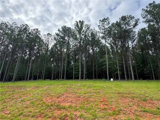 A verdant parcel with a dense tree line, offering privacy and natural beauty.