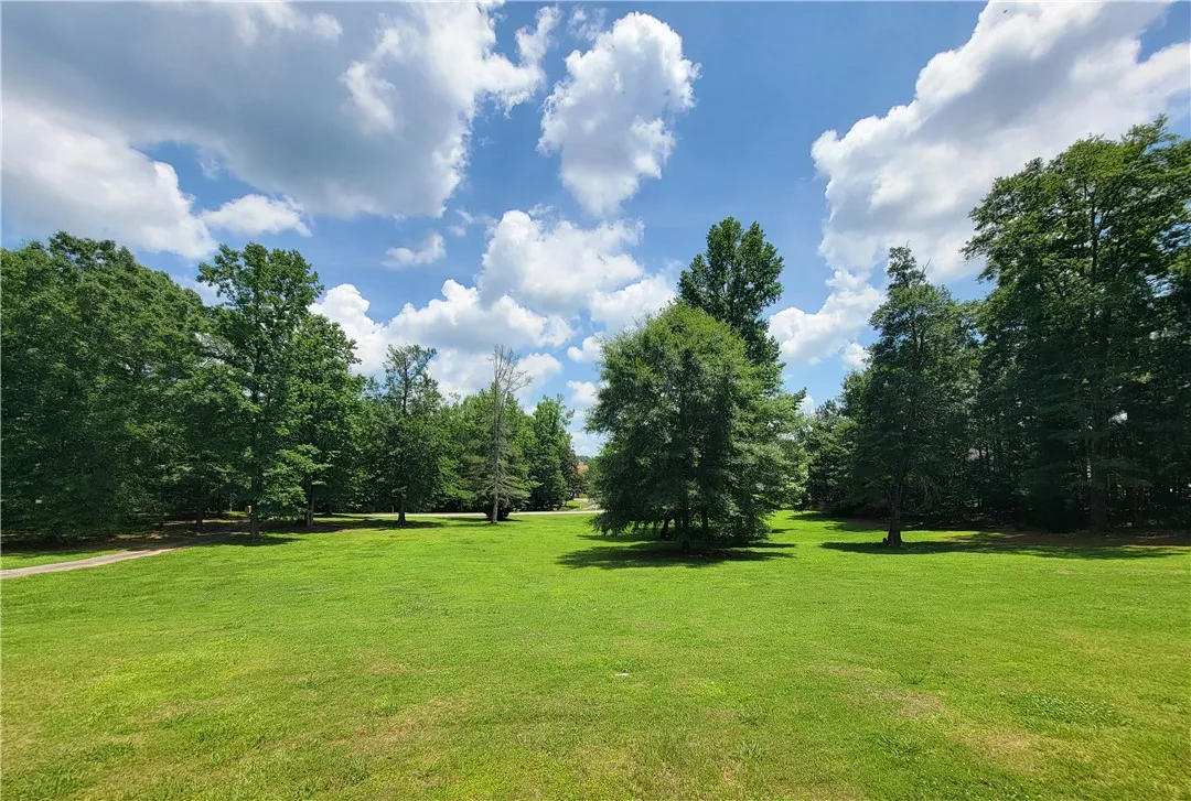 A verdant field surrounded by mature trees under a clear, cloud-dotted sky awaits your vision.