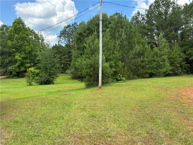 158 Lee Road 2031 N/a, Opelika, Alabama 36804