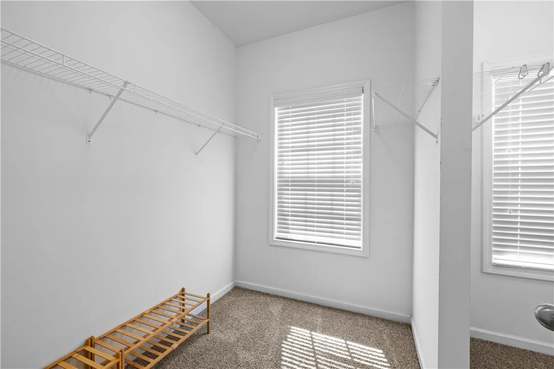 An organized closet featuring ample shelving and natural illumination from two windows.