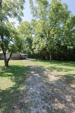 A gravel path winds through a verdant, tree-lined landscape towards a secluded residence.