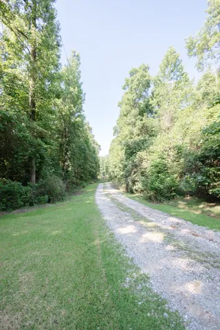 A private gravel drive winds through verdant trees, leading to a secluded property.