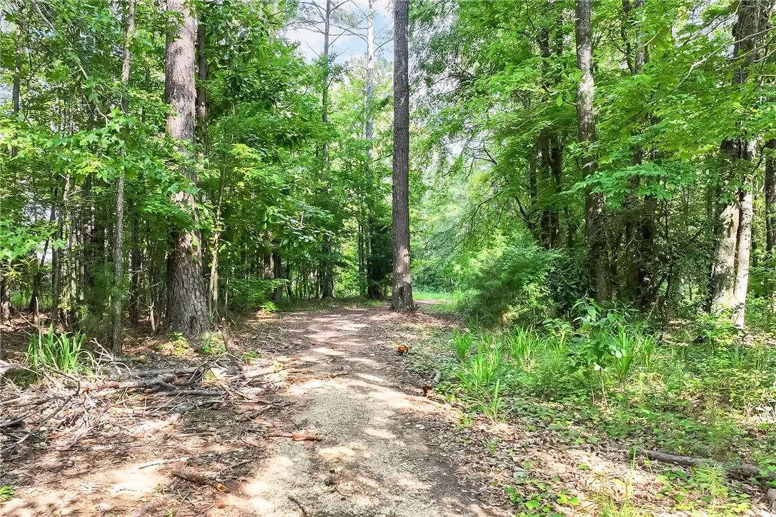 A tranquil path winds through a verdant, mature forest, perfect for nature enthusiasts.