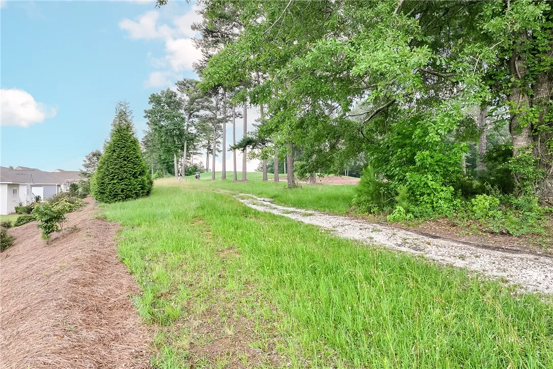 Mature trees line the gravel path, leading to serene homes in the distance.