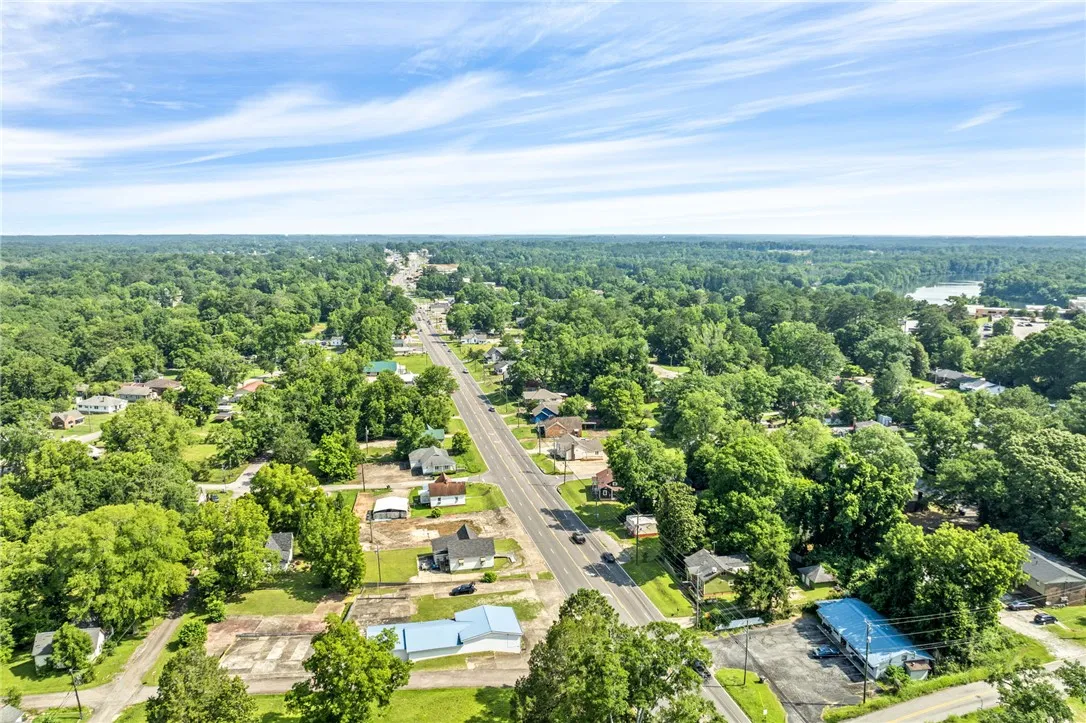 An aerial perspective reveals a verdant suburban landscape with a central thoroughfare, framed by mature trees and distant waters.