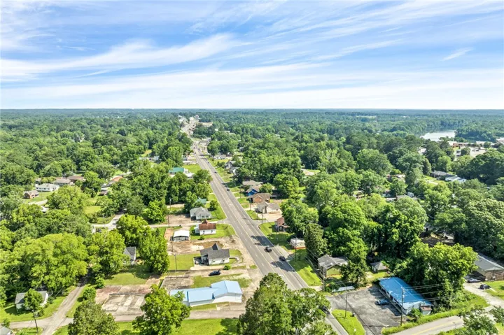 An aerial perspective reveals a verdant suburban landscape with a central thoroughfare, framed by mature trees and distant waters.