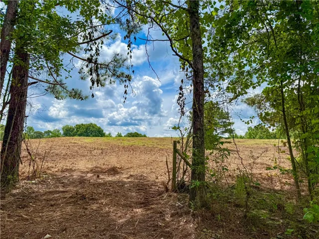 0 Highway 9 N/a, Ashland, Alabama 36251