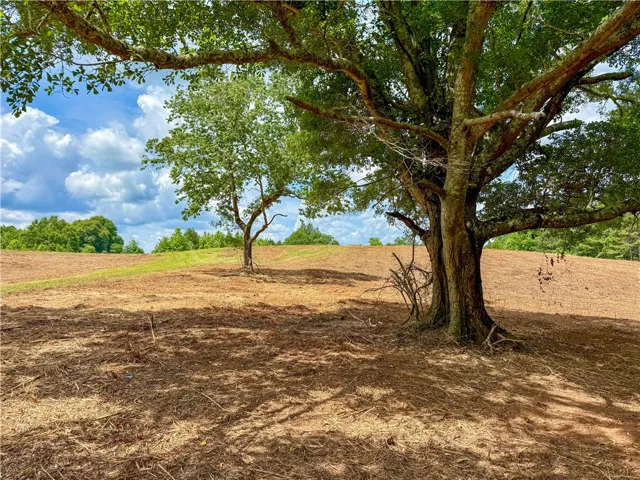 0 Highway 9 N/a, Ashland, Alabama 36251