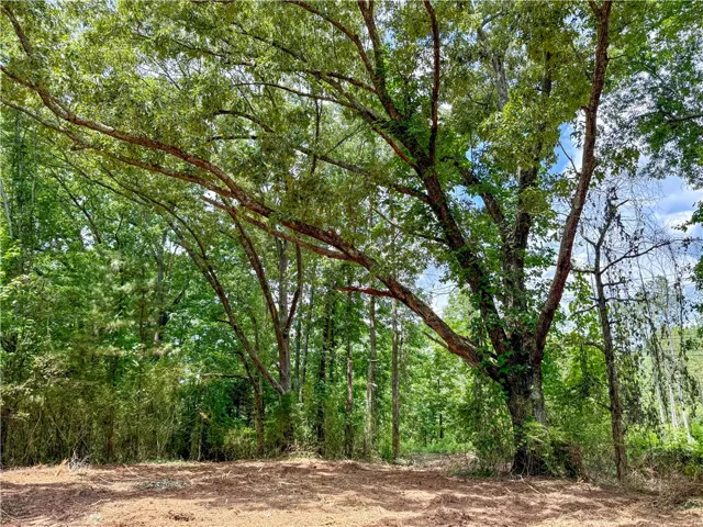 0 Highway 9 N/a, Ashland, Alabama 36251
