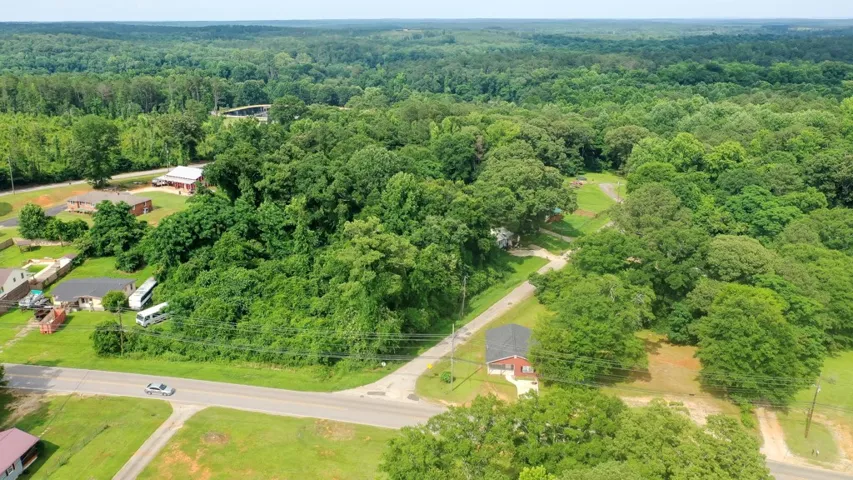 An aerial perspective reveals a verdant landscape with scattered homes and a winding road.