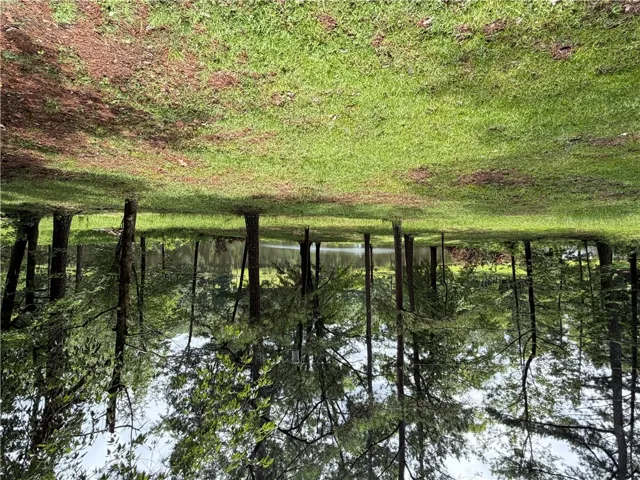 Green expanse bordering a serene lake, framed by a natural woodland setting.