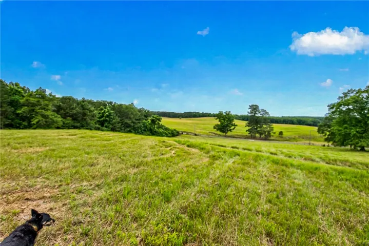 Rolling green hills extend to a distant tree line under a vast blue sky.