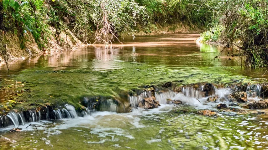 A tranquil stream meanders through a lush, verdant landscape, creating a serene natural setting.