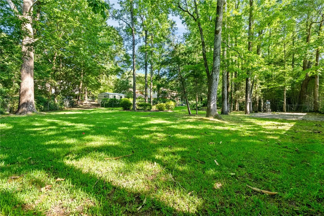 Wooded backyard