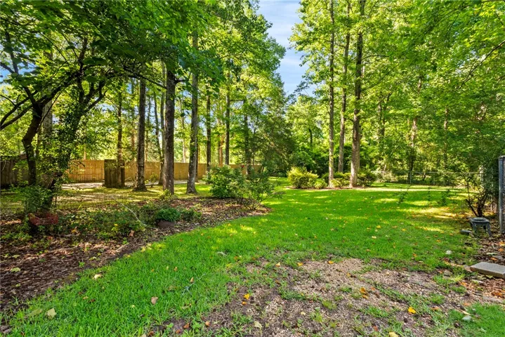 Wooded backyard