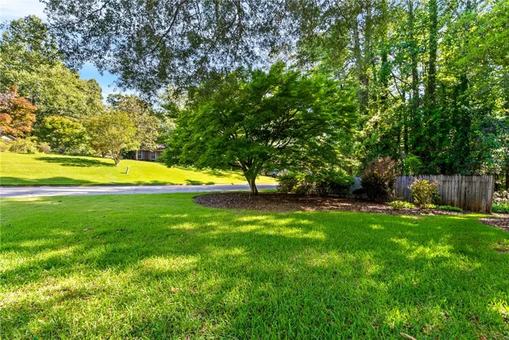 Japanese Maple in the front yard