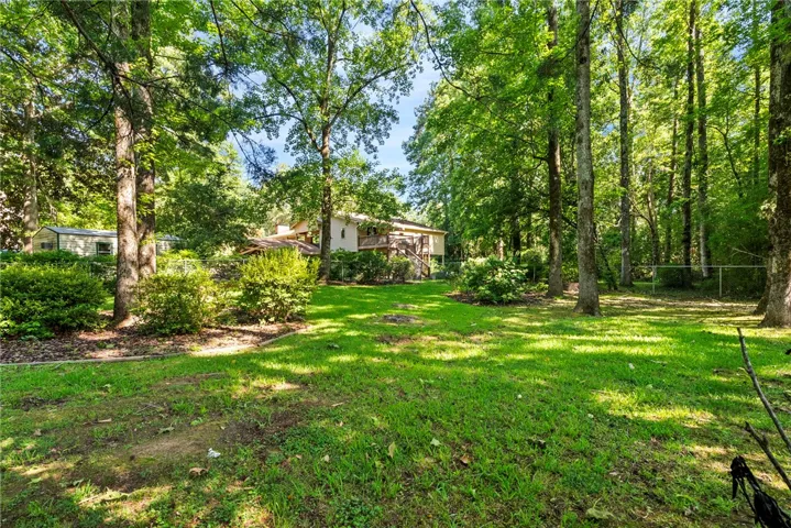 Wooded backyard