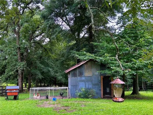 Chicken coop & pen