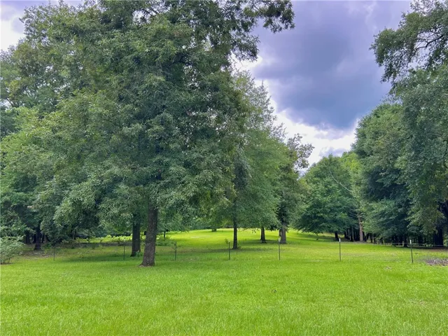 A verdant field surrounded by mature trees offers a private, natural setting with natural spring on site.