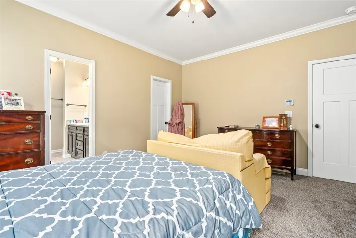 Comfortable sleeping quarters feature a soft carpet underfoot and a subtle ceiling fan for optimal airflow.