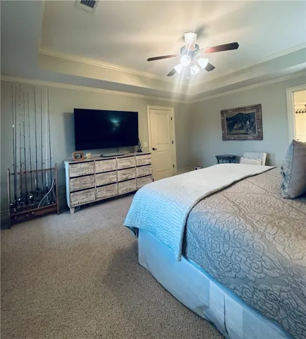 Relax in comfort within this primary bedroom, showcasing a tray ceiling and soft carpet underfoot.