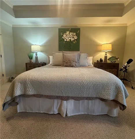 A well-lit bedroom featuring a tray ceiling and plush carpeting.