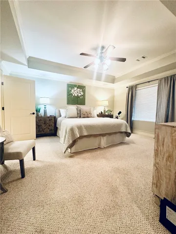 An inviting primary bedroom with plush carpet flooring and a tray ceiling, offering a comfortable retreat.
