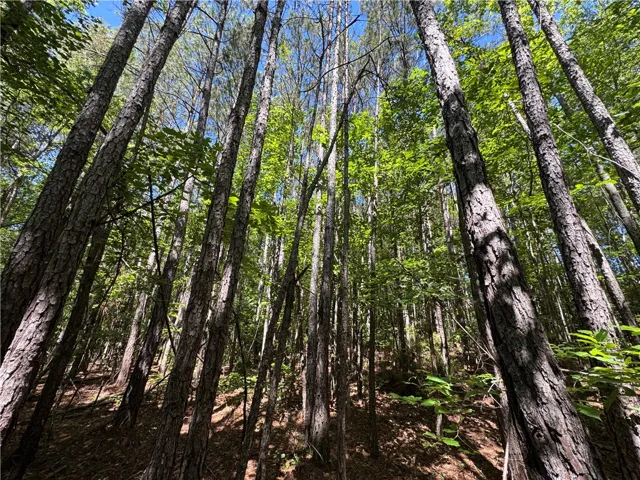 24301 Veterans Memorial N/a, Camp Hill, Alabama 36850
