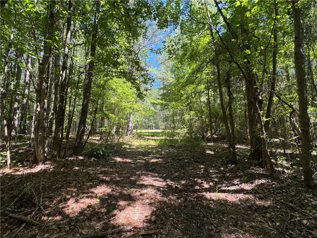 24301 Veterans Memorial N/a, Camp Hill, Alabama 36850