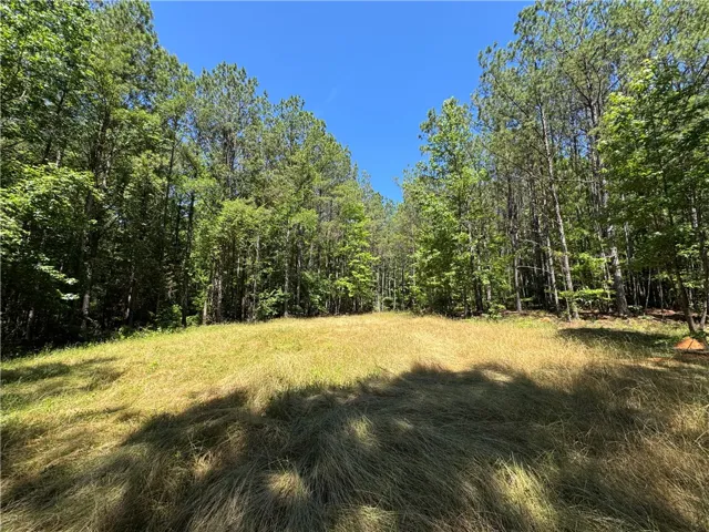 24301 Veterans Memorial N/a, Camp Hill, Alabama 36850